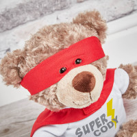 Super hero bear