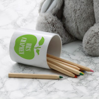 personalised teacher apple pen pot