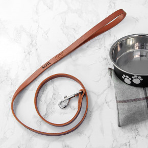 Classic Brown Leather Dog Lead