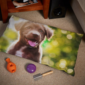 Small Dog Bed Cushion 30x20"