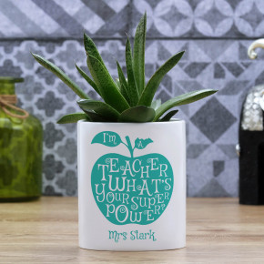 Teacher Superpower Plant Pot